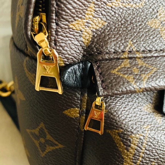 ‼️sold‼️Louis Vuitton Palm Springs Mini Monogram - Picture 2 of 12